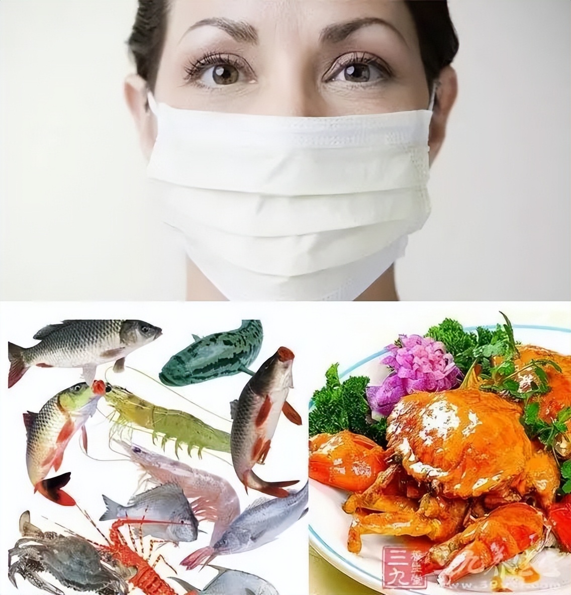 鲭鱼是发物吗能吃吗,鲭鱼有什么危害