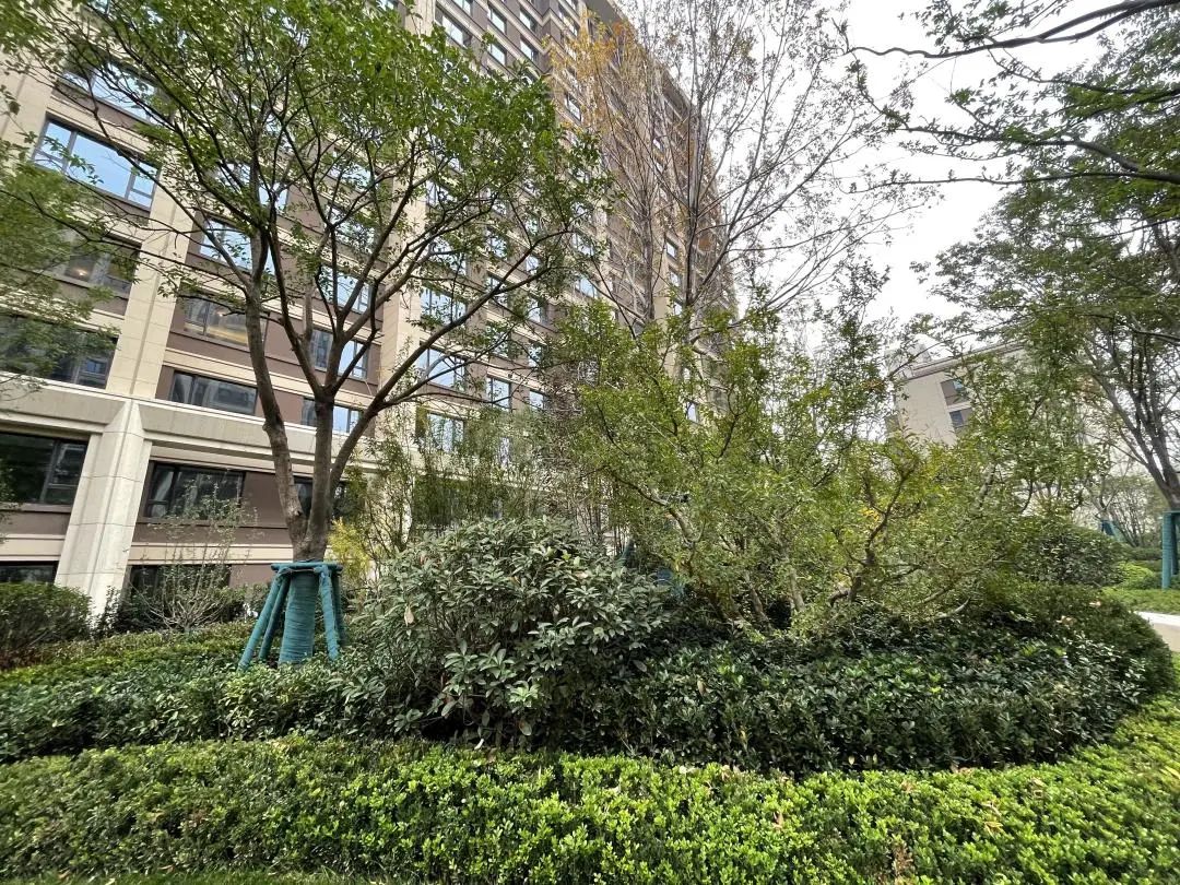 矿山路金辉江山铭著公租房,矿山路金辉江山铭著物业电话