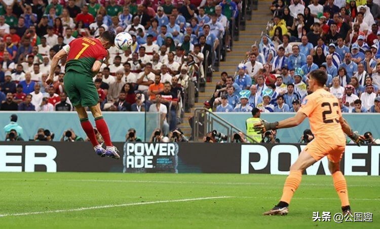 卡塔尔世界杯技术分析,卡塔尔世界杯最新技术