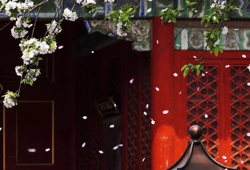 100首关于春的古诗词美到令人窒息,关于描写春的经典古诗词