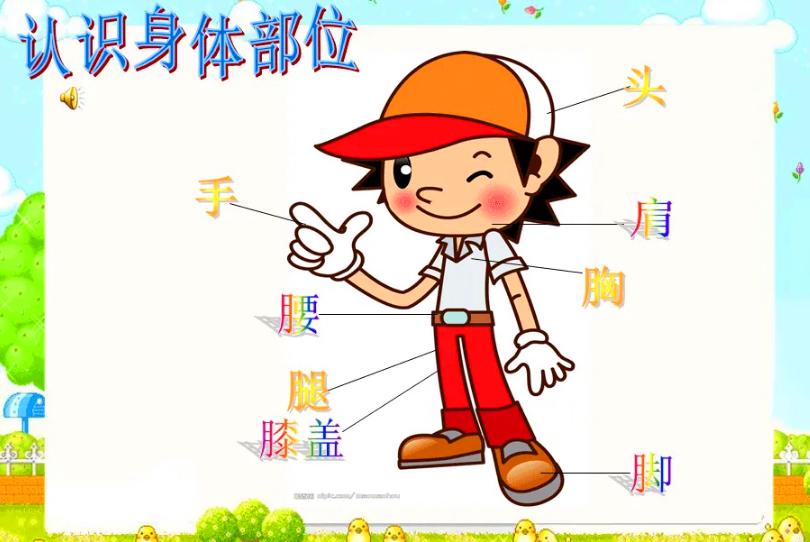 读故事，学英语-33我的身体