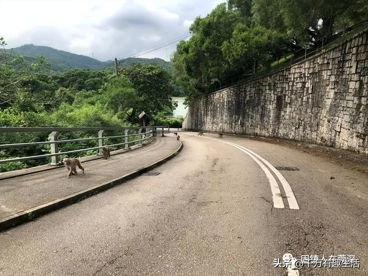 香港徒步麦理浩径全程攻略介绍,香港狮子山徒步攻略