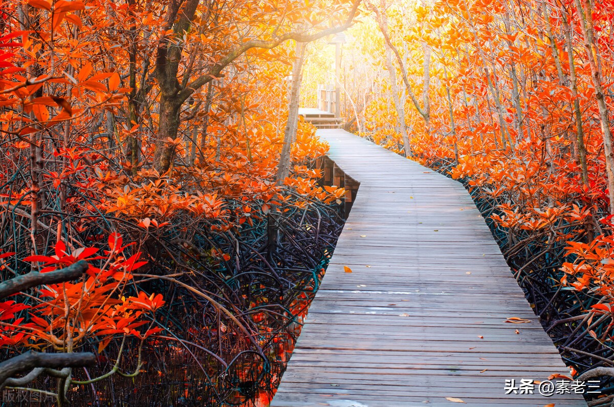 女作家去做保姆474,女作家去做保姆583