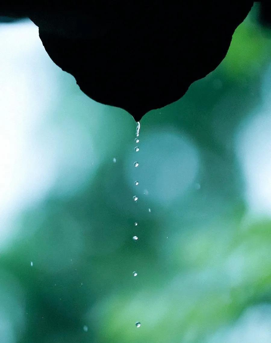 雨水哲理,雨水的好句