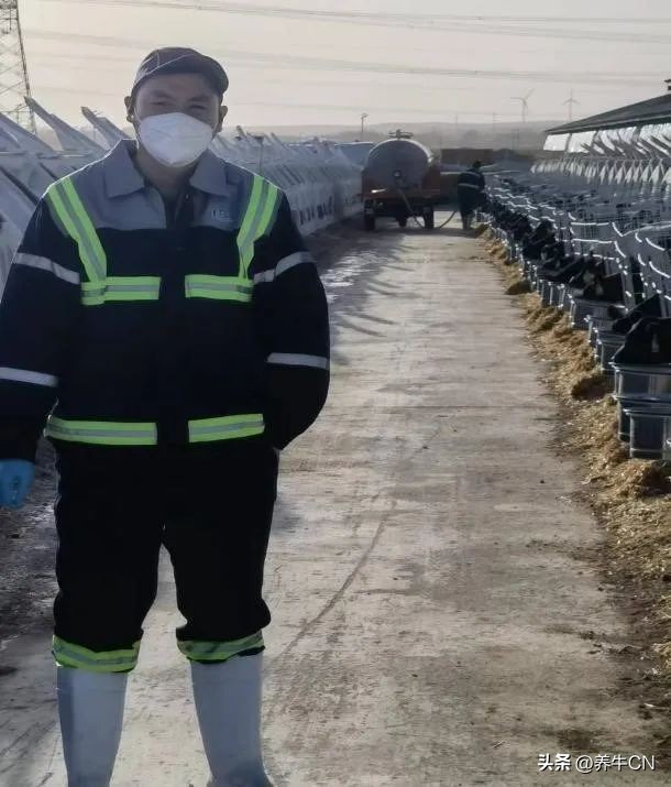 乐源牧业陈玖林|培养高潜力后备牛，输送高质量头胎牛