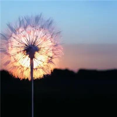 孩子需要什么样的父母，你做的对吗