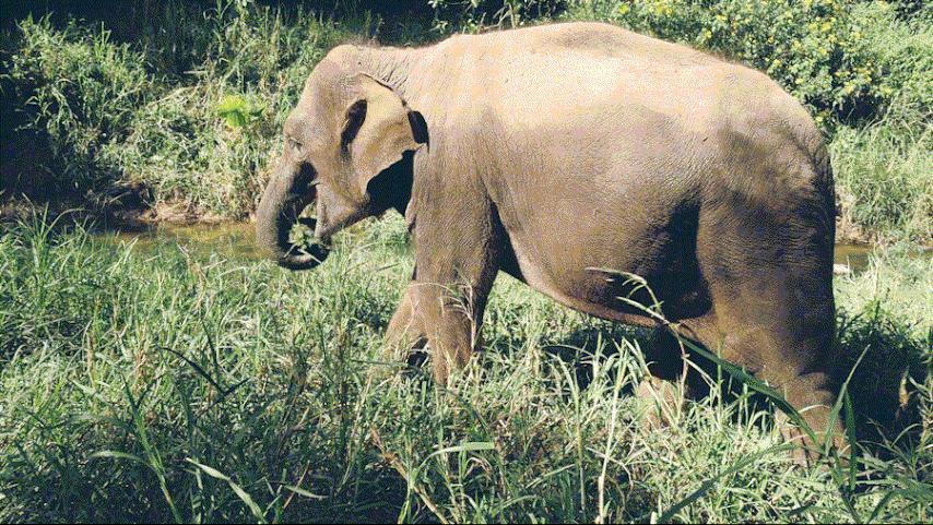 cop15第二次会议,cop15云南会场