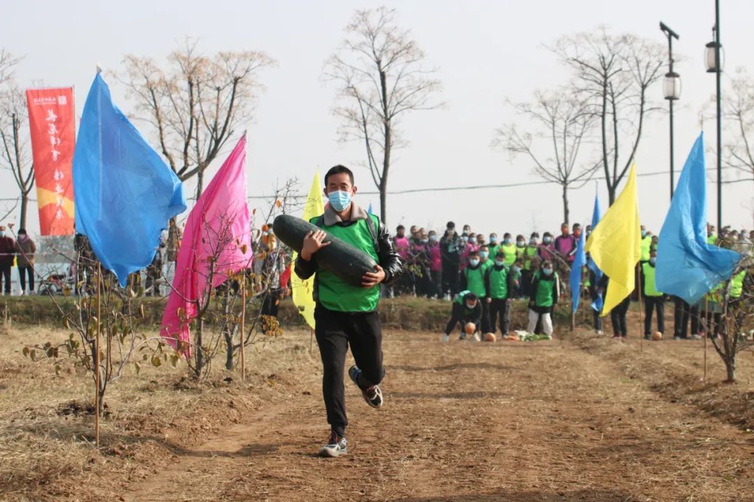 庆丰收运动会舞蹈,庆丰收趣味运动会
