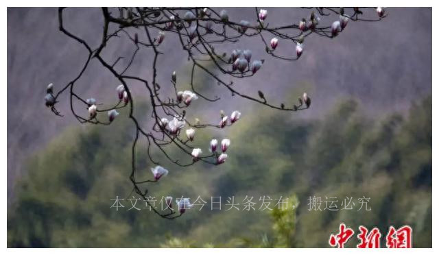 人这一辈子都要去一次的地方,人这一生一定要去一次南京吧