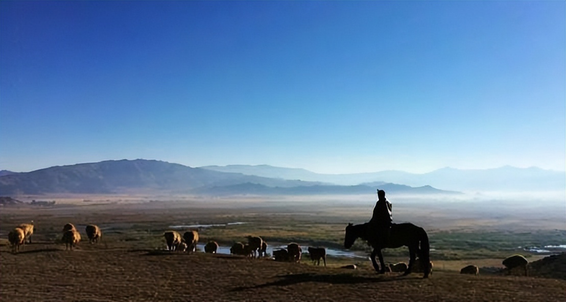 新疆一牧民发现17吨重陨石,最近新疆发现的最贵的陨石