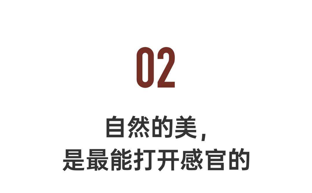 国宝级经典绘本,国宝级绘本奶奶