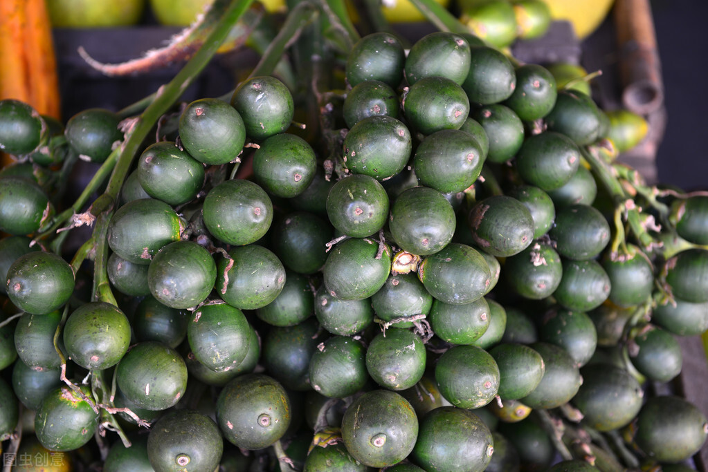 世界一级致癌物槟榔,一级致癌物槟榔有多恐怖