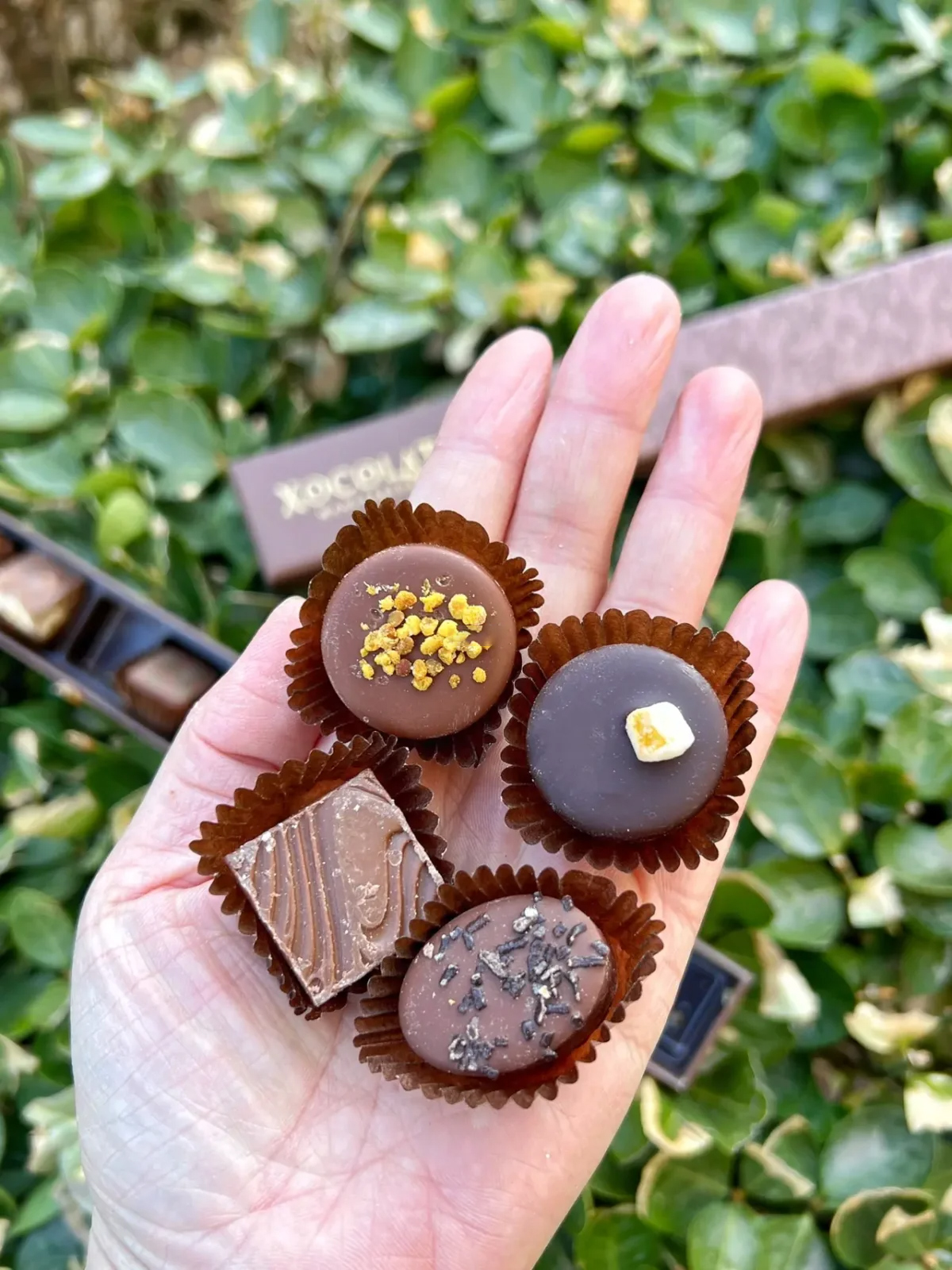 松露速溶巧克力零食推荐,零食推荐丝滑绵密的松露巧克力