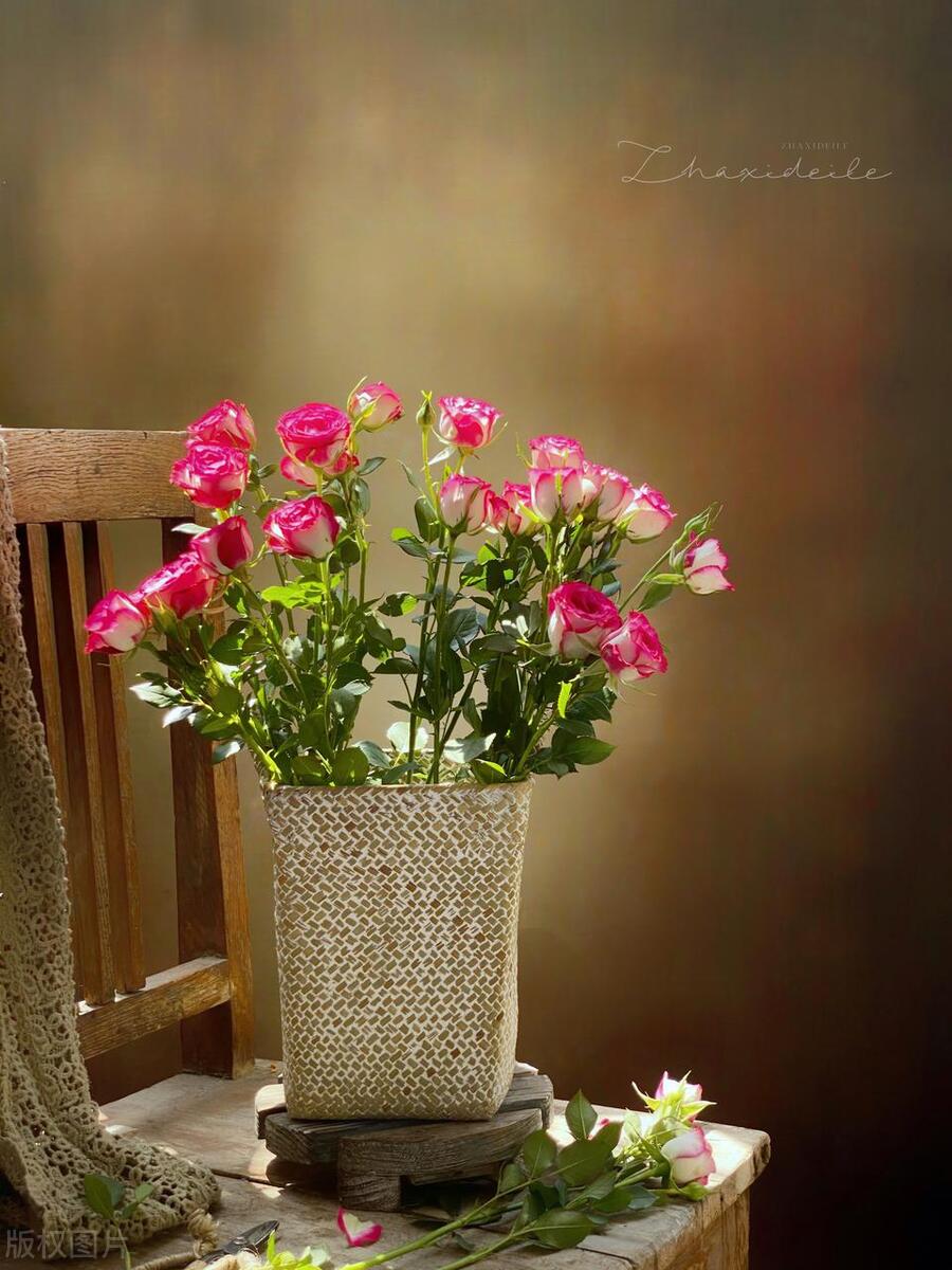 盆栽花怎么养才开花多呢,盆栽花怎么养能长久一点