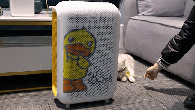 疫情期间的宠物用品,宠物生病常备药有哪些呢