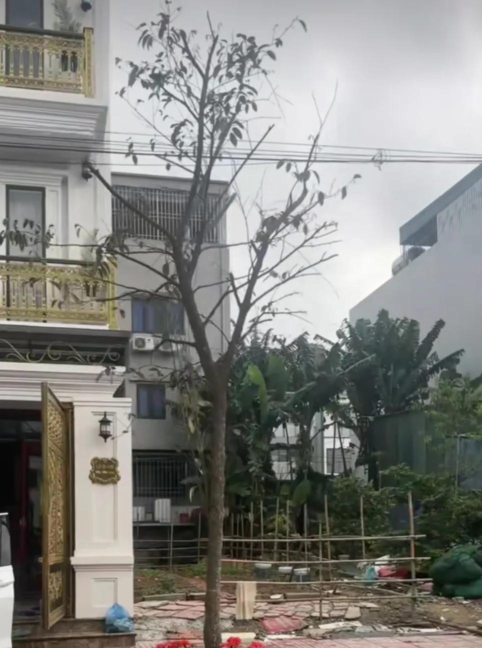 广西美女远嫁越南，生俩娃，发现越南有钱人的房子真豪气全屋红木