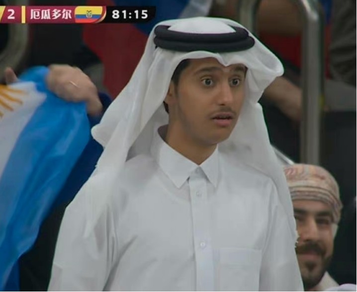 卡塔尔小王子世界杯现场原视频,世界杯卡塔尔小王子爆火