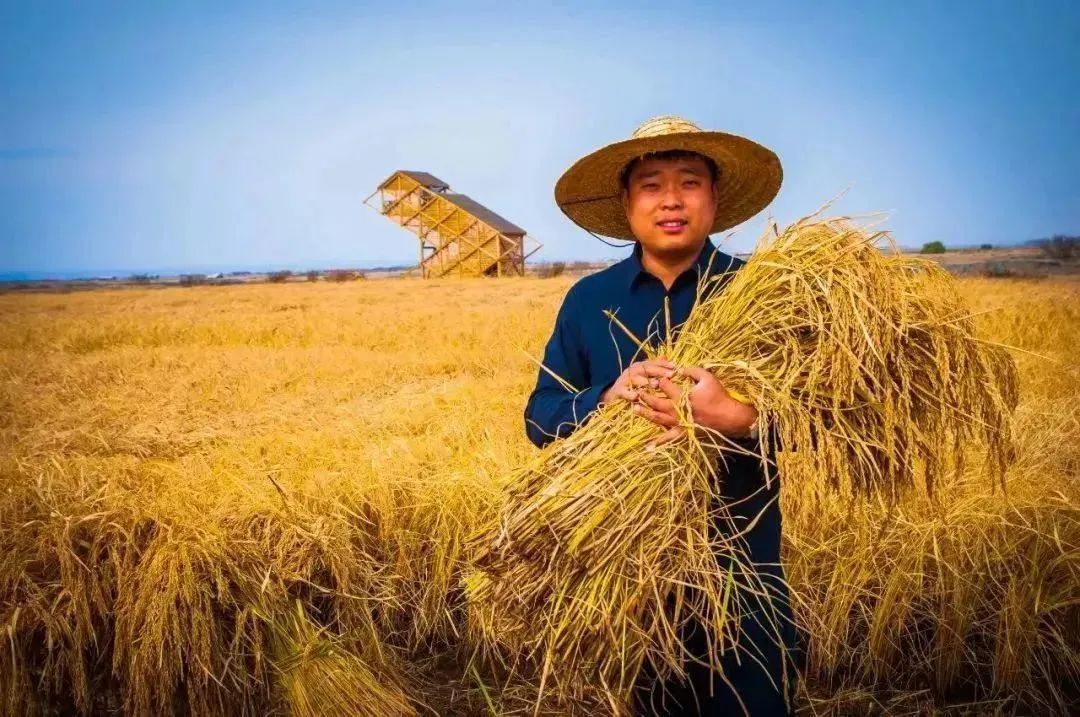 乡村振兴36个案例,谈一谈对乡村产业振兴的看法