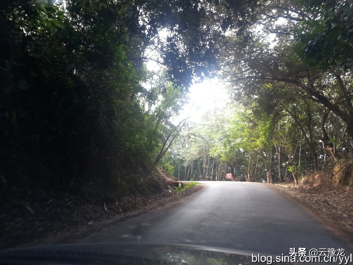 西双版纳磨憨自驾游攻略,自驾游云南版纳旅游攻略