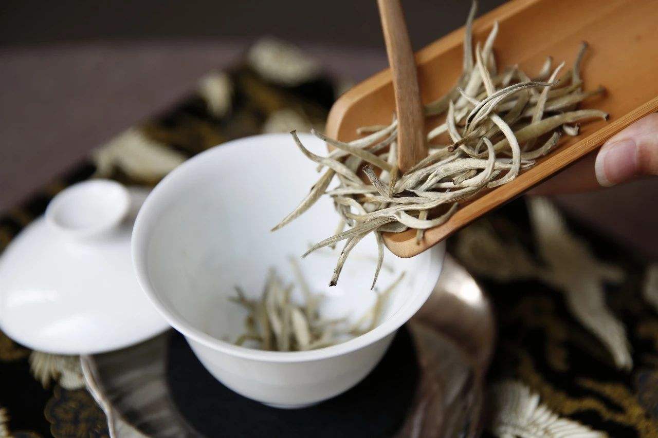 入秋喝什么茶叶好养生女性,暖胃对肠胃好的茶叶