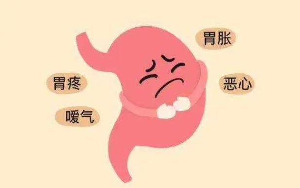 胃疼胃胀吃什么中药材最好,经常胃疼呕吐消化不良吃什么中药