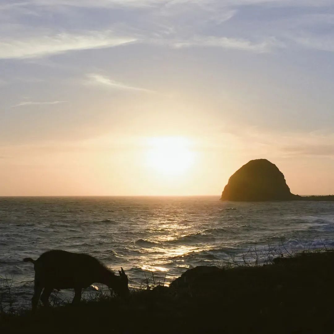 台湾地图为啥上热搜,台湾省地图热搜