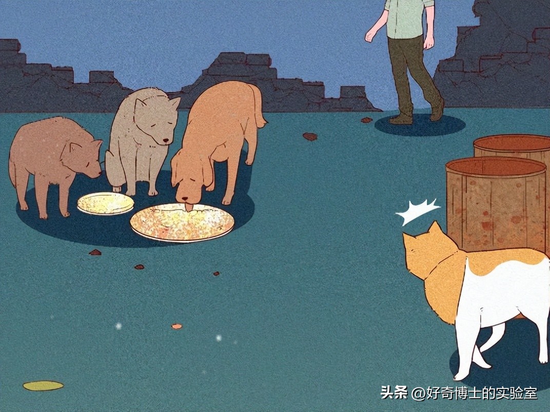 狗朝着没人的地方狂吠，是看到了什么「不干净」的东西吗？