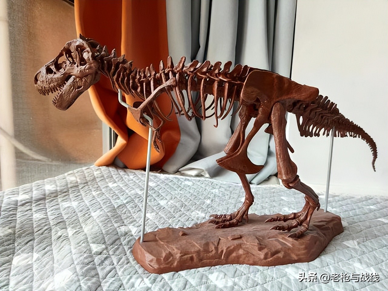 如何制作霸王龙骨架,用硬纸板做霸王龙骨架教程