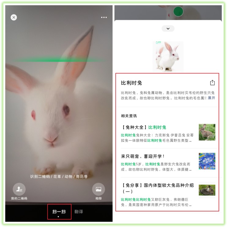 原来微信右上角的号功能这么强大,微信右上角十字隐藏的功能