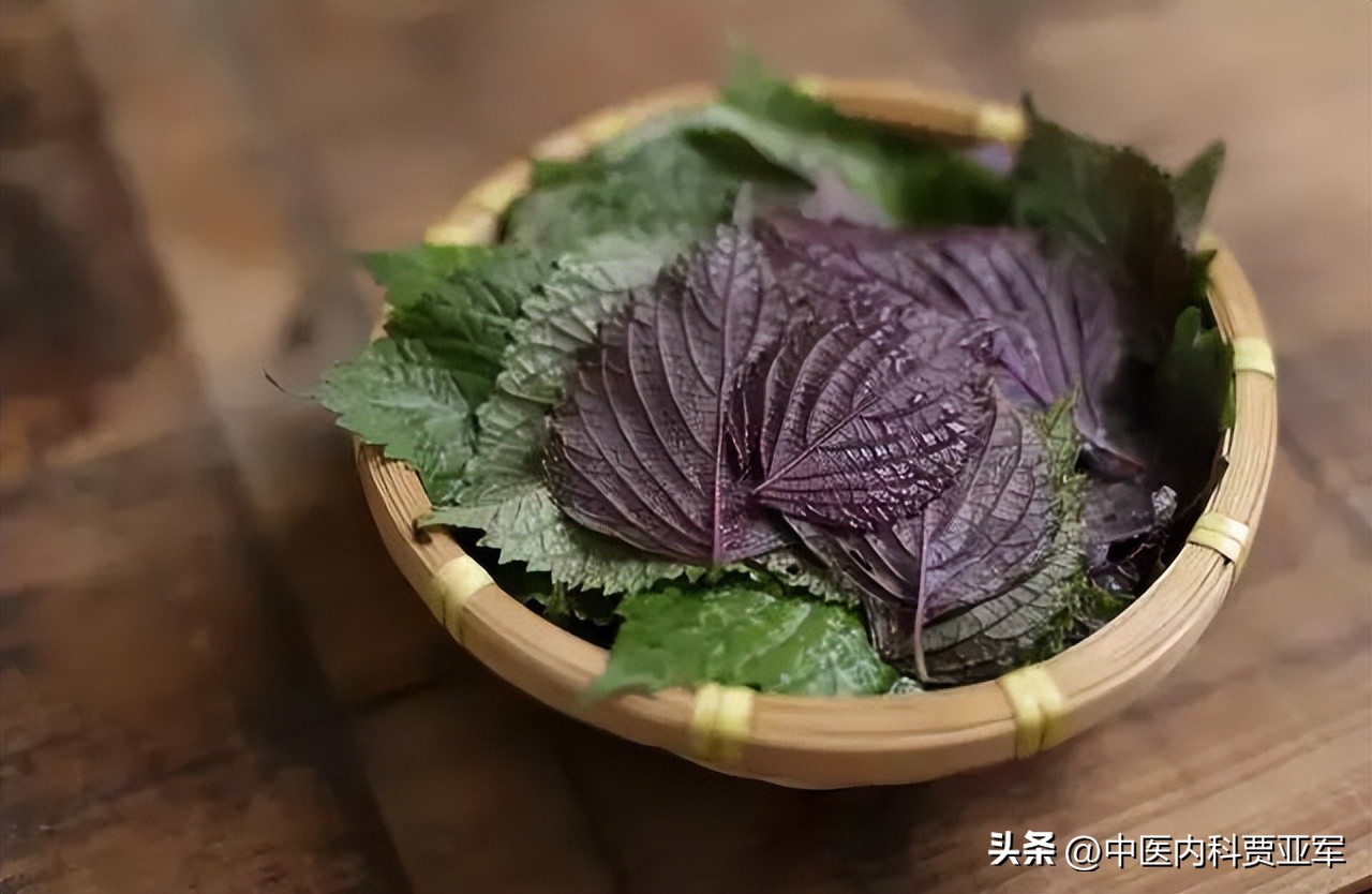 清热祛湿健脾胃的草,清热祛湿健脾胃治脾胃虚寒的草