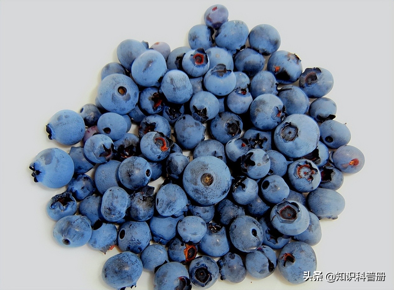 十种能吃的水果,哪种水果最健康