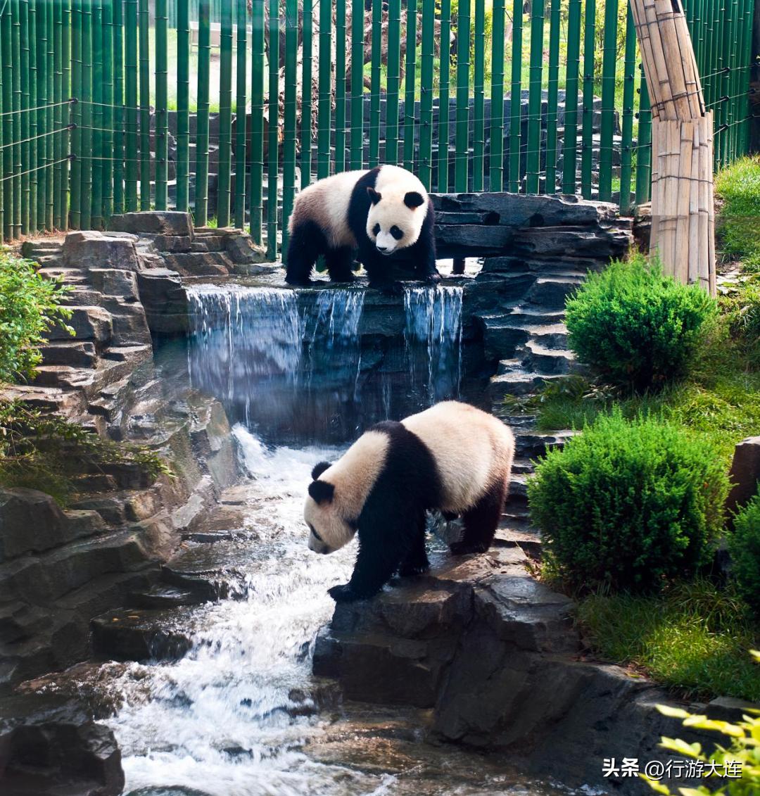 大连五一节旅游,大连五一景区活动