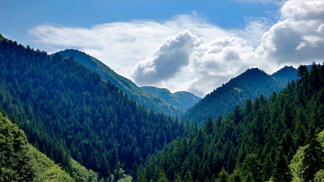 不出兰州，最快半小时到达！这个夏天，总要来趟榆中吧！