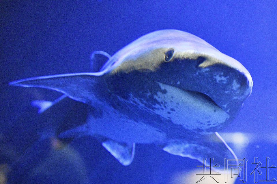 调查显示日本36%的休闲设施门票涨价