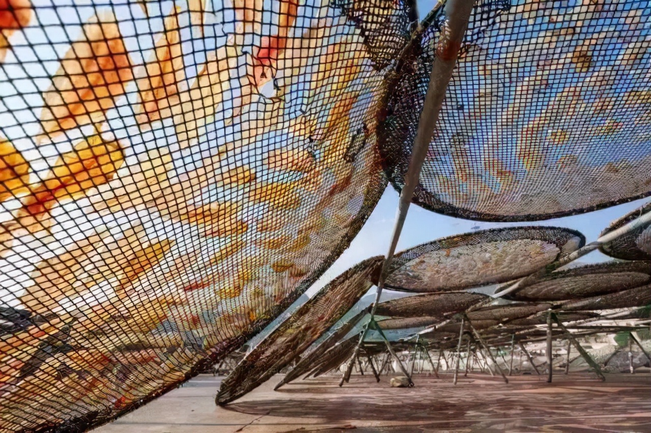 珠海旅游十大景点推荐一下,珠海当季旅游景点推荐