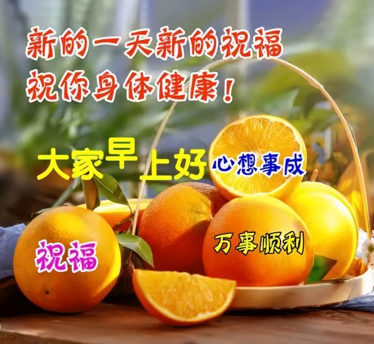 问候语祝福朋友的句子暖心,问候祝福朋友开心快乐的温馨句子