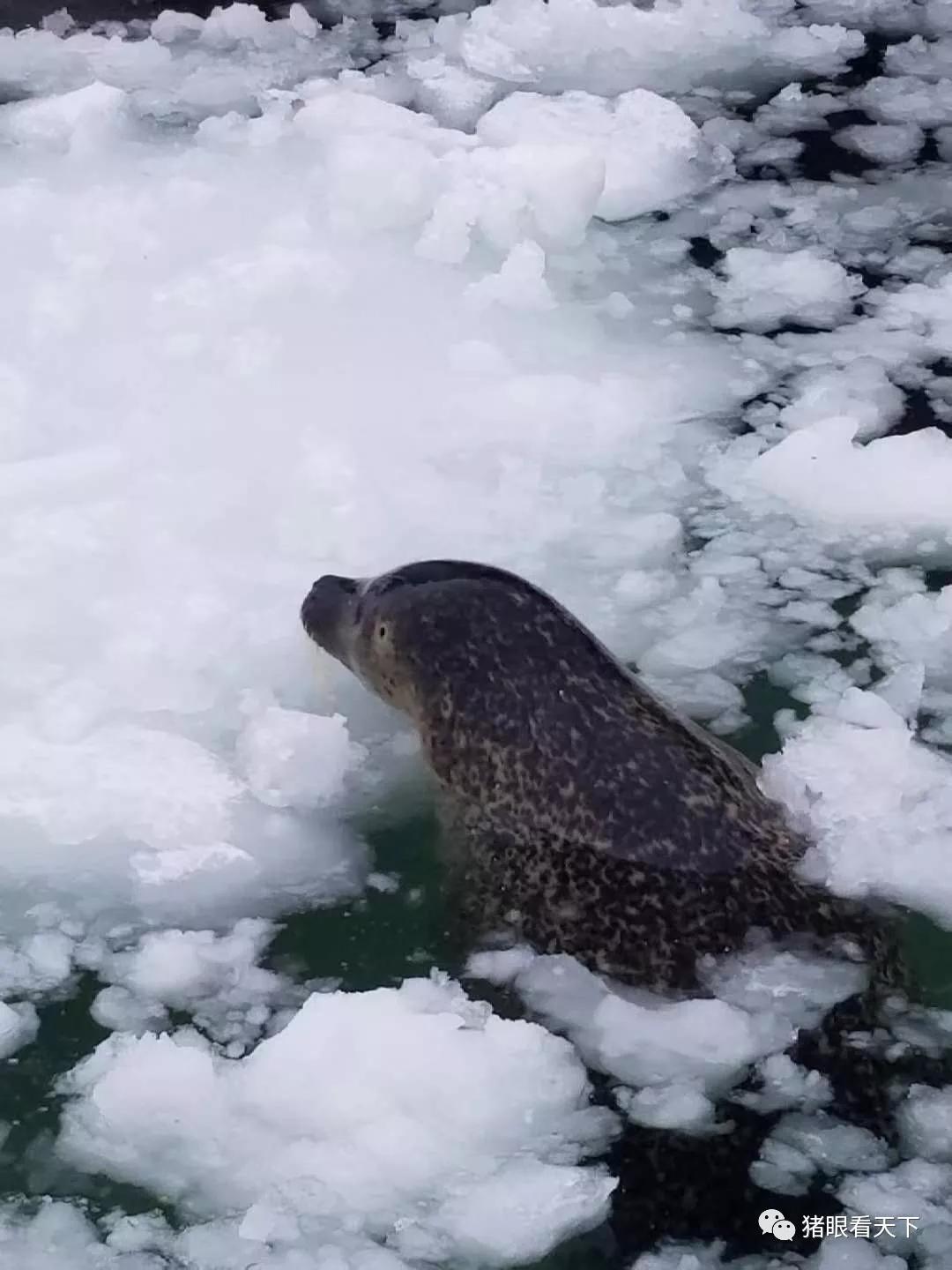 北海道玩一个星期花费,北海道一趟花销