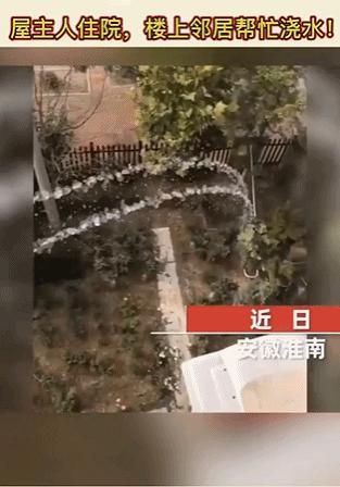 租房选到这层楼，人间第一冤大头