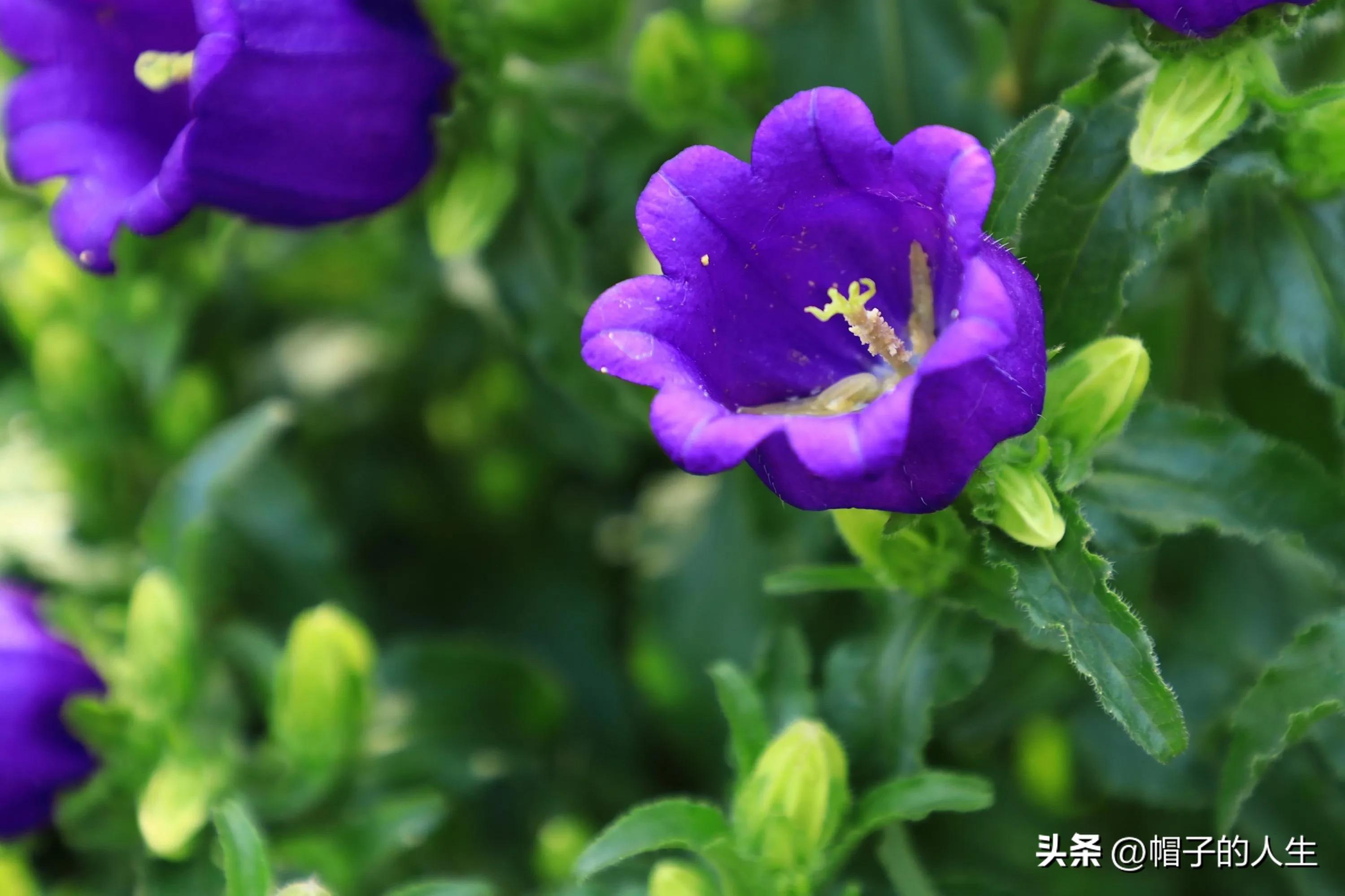 一场有预谋的恋爱知乎,一场有预谋的爱情