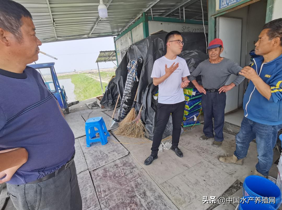 鲈鱼损失惨重,目前鲈鱼掉价的真正原因