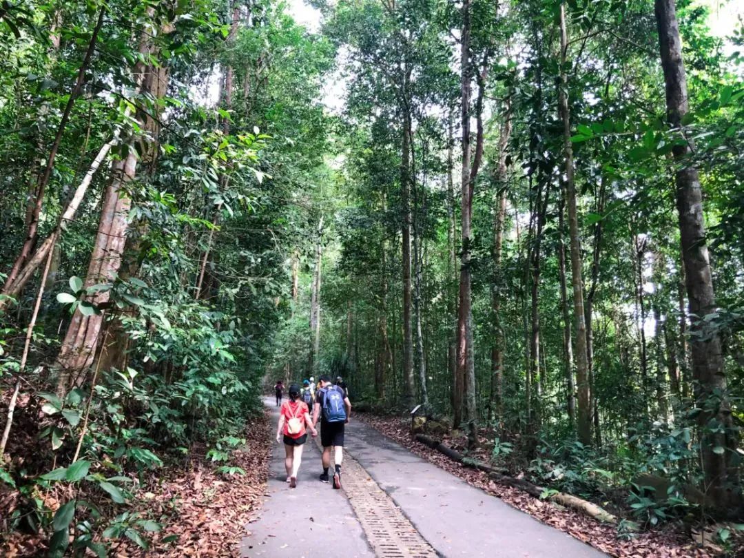 新加坡遛娃免费景点推荐一下,新加坡周末遛娃