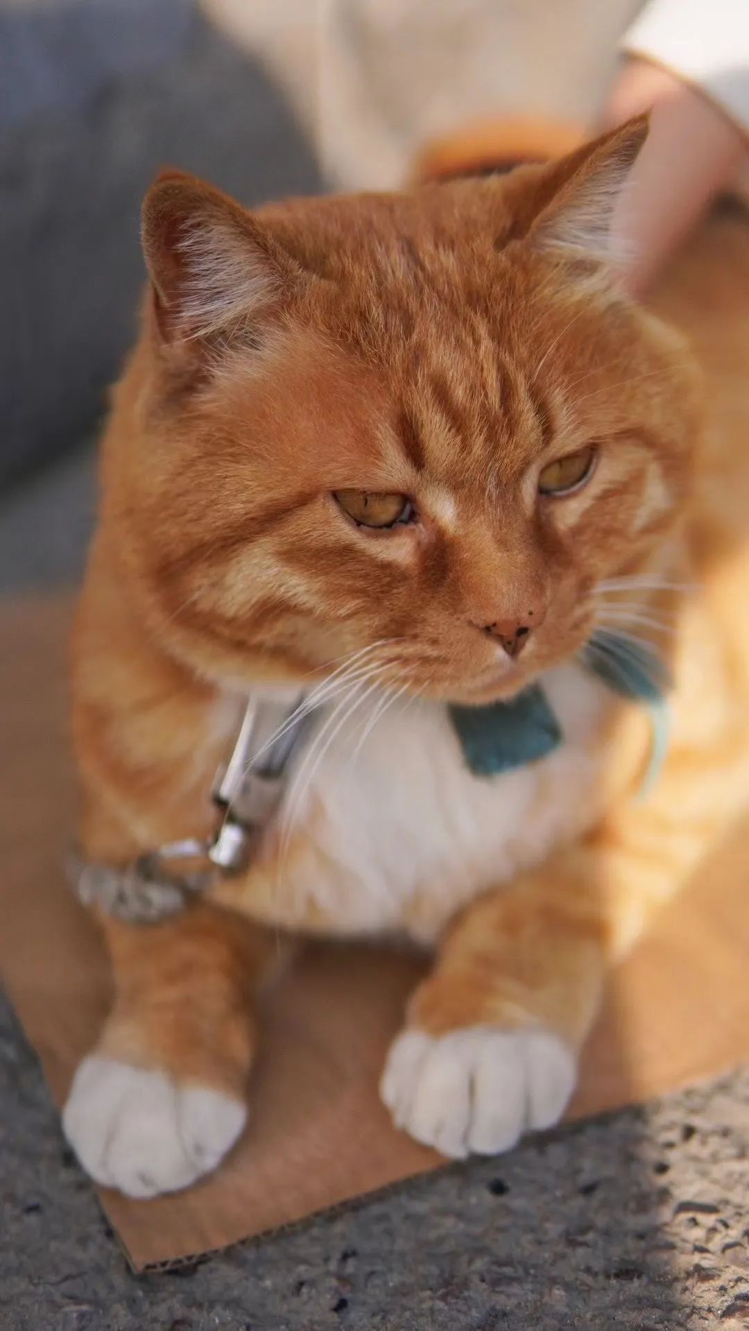 浼樼鏂囪壓浣滃搧灞曠ず,浼樼鏂囪壓浣滃搧闆嗕腑灞曠ず