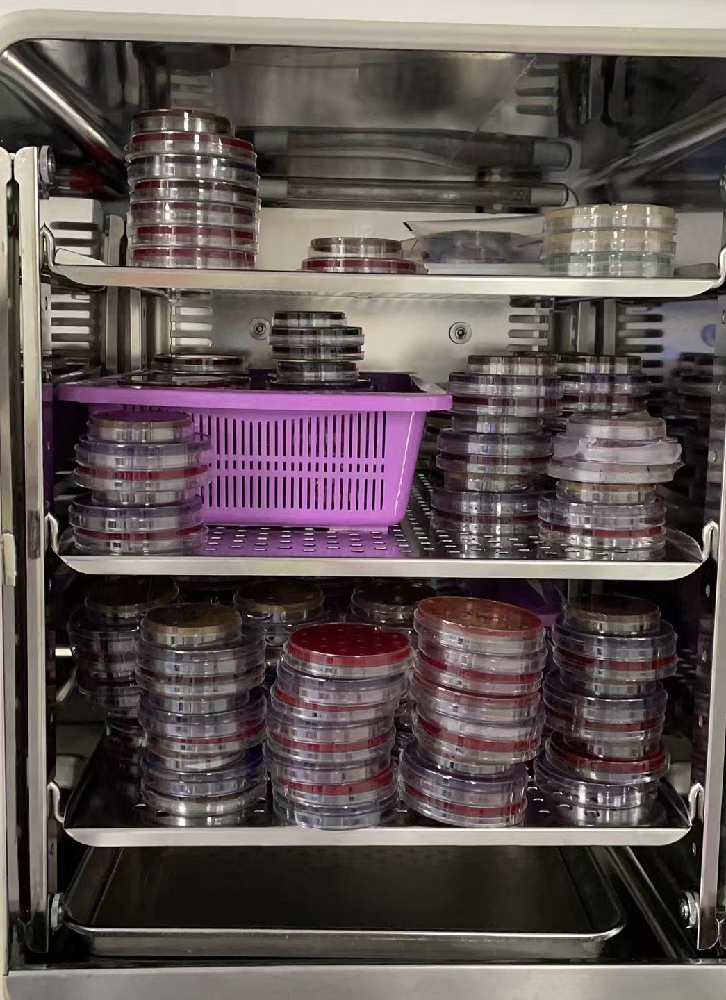 南昌市第三医院南昌市人民医院,南昌市红谷滩第三医院