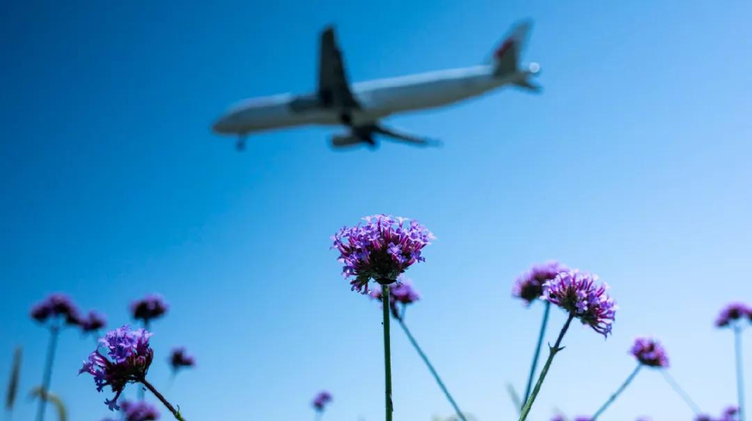 烟雨江湖成都境内宝藏,成都附近小众宝藏旅行攻略