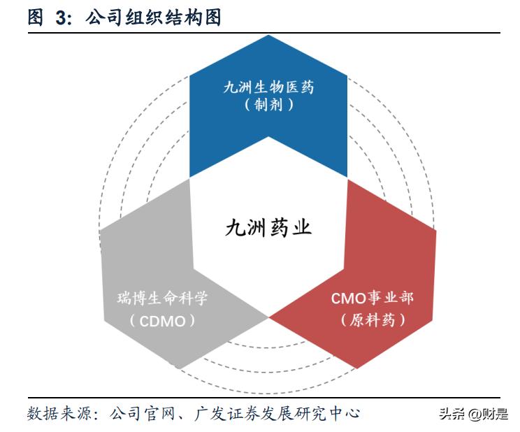 九洲药业预测目标价,九洲药业发展潜力
