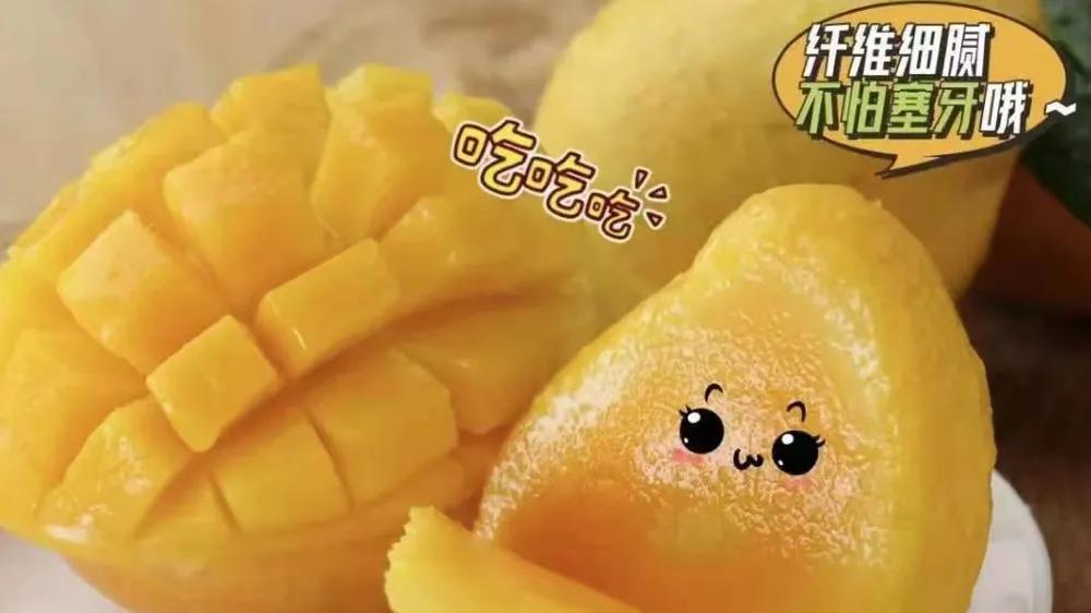 水果店都是从哪里进货的,水果店的水果进货渠道都是在哪里