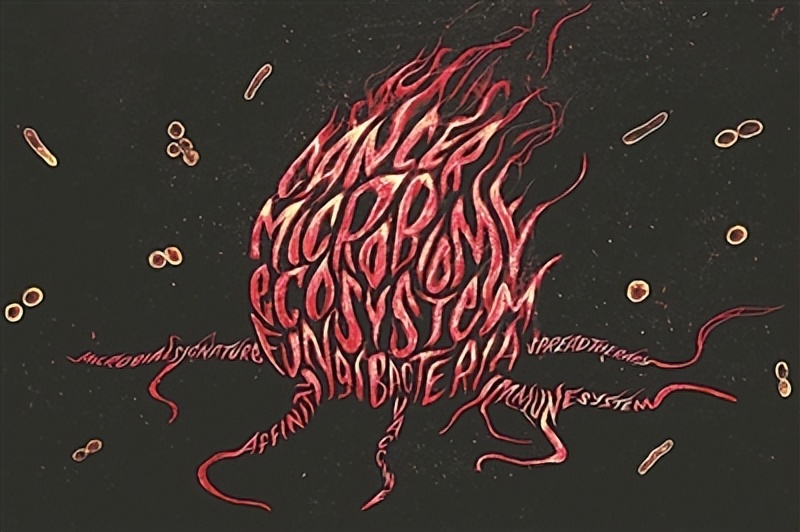 微生物有望成为抗癌利器！相关药物已进入临床试验