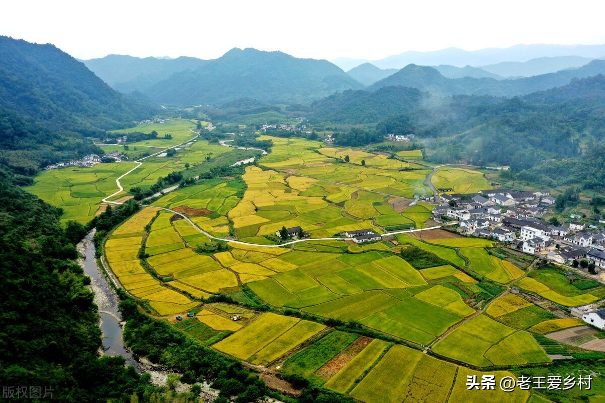 新型农民评了职称有什么用,农民职称的建议有哪些