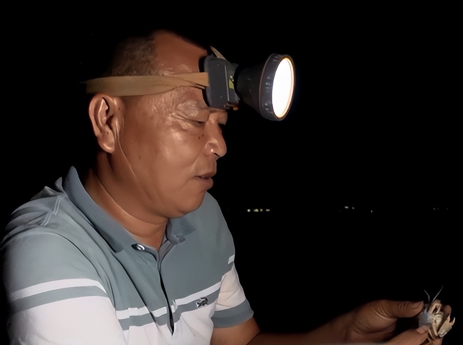 广东小伙子养黄油蟹,中国养殖黄油蟹