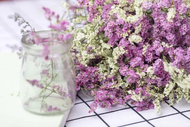 七夕应该送什么样的玫瑰花,七夕情人节适合送红玫瑰吗